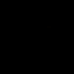 Meet your Posher, Isaiah